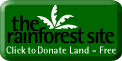 The Rainforest Site